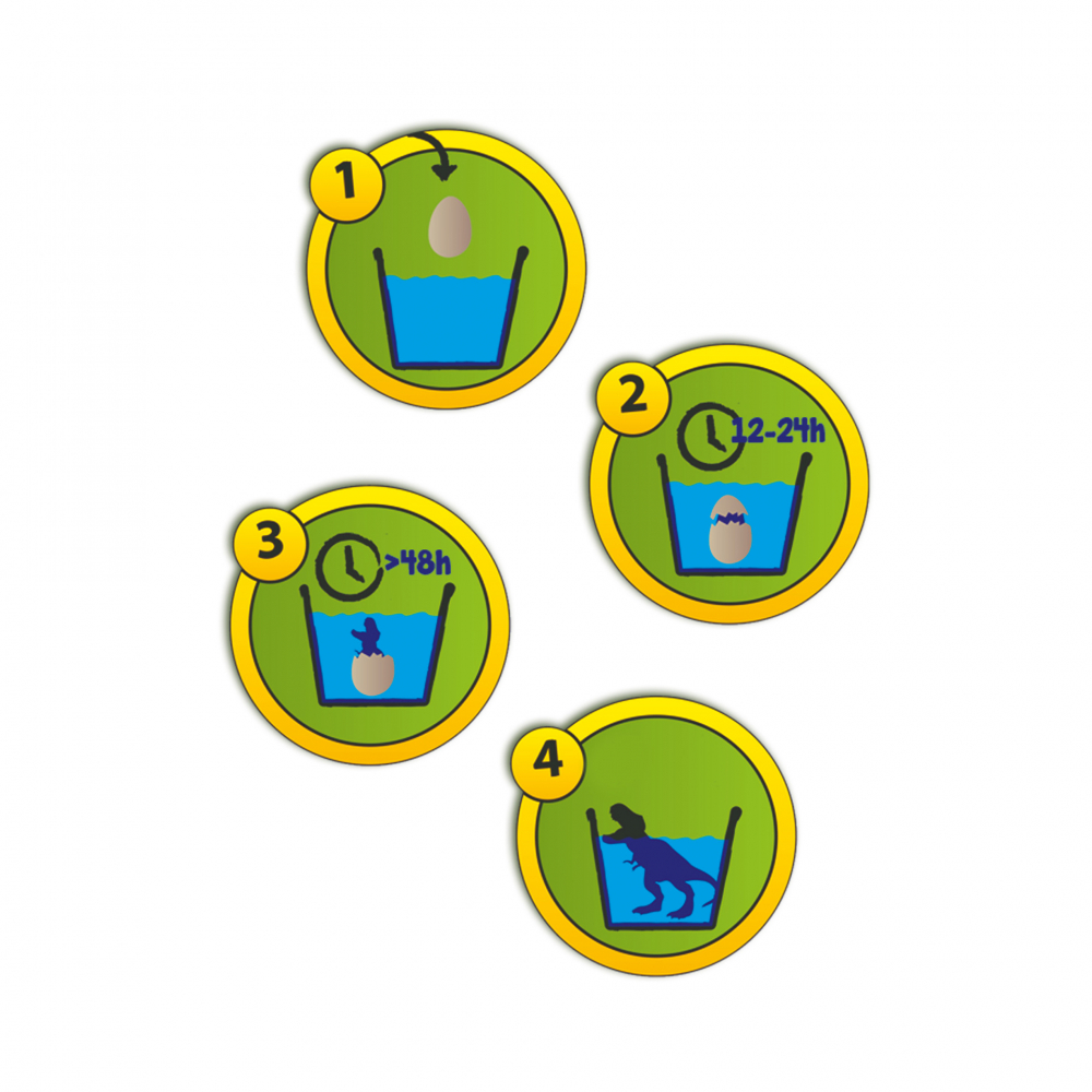Set 2 oua de jucarie pentru copii cu dinozauri care eclozeaza in apa [2]