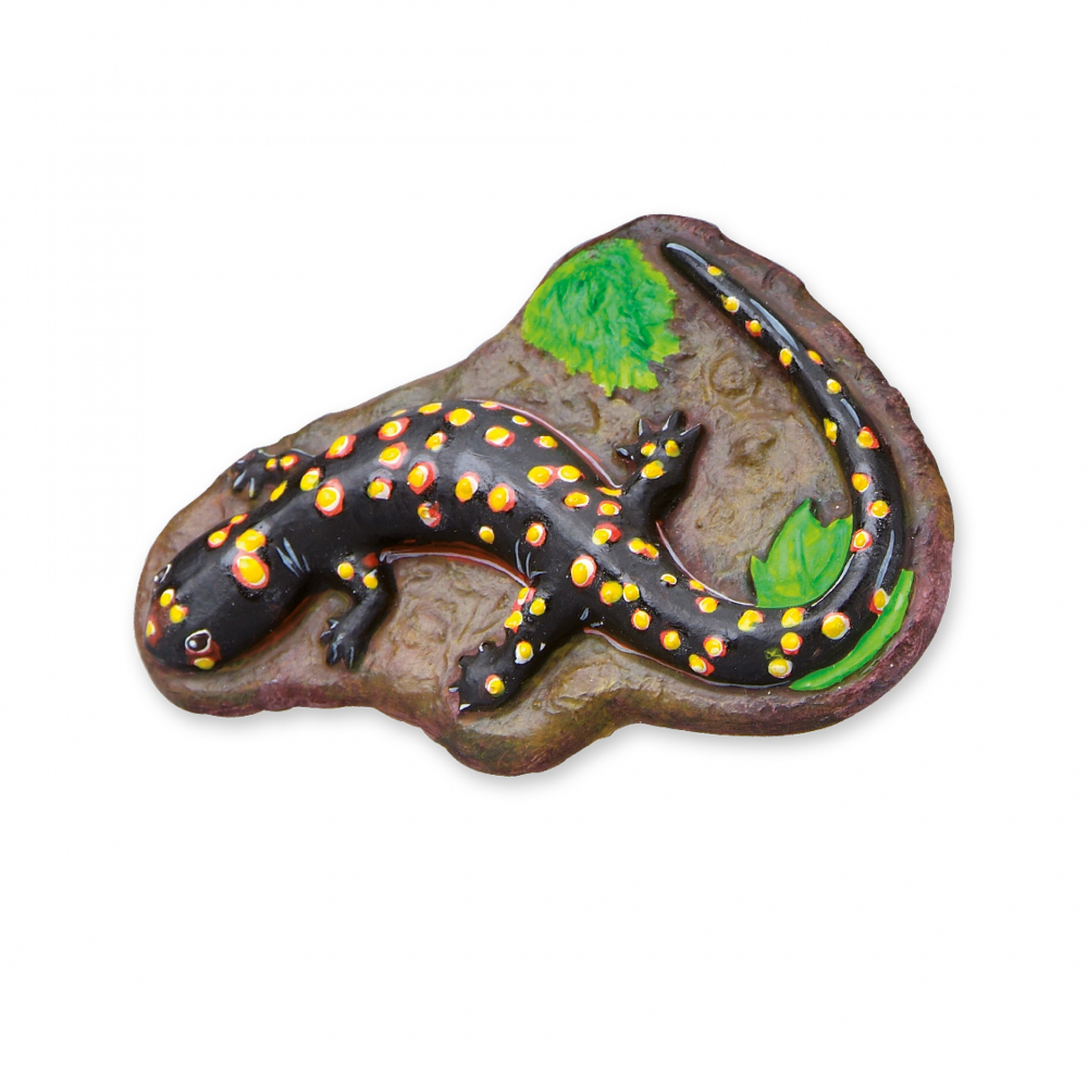 Set creativ de lucru manual pentru copii cu animale fluorescente [3]