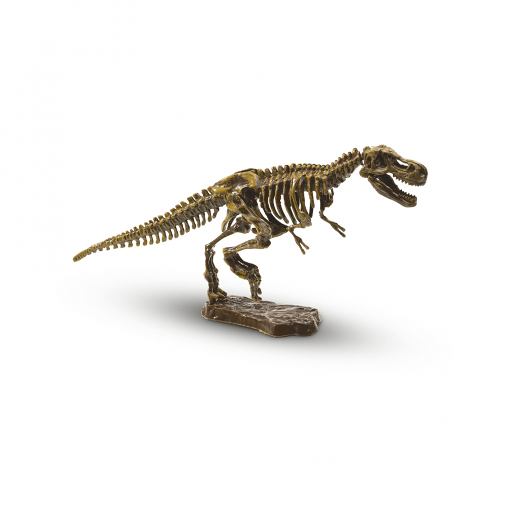 Set de arheologie pentru copii cu dinozaur si accesorii incluse [2]