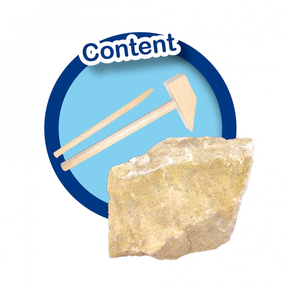 Set de arheologie pentru copii cu dinozaur si accesorii incluse [4]