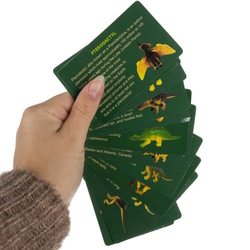 Set de excavare cu 12 oua de dinozauri, carduri si ustensile, +7 ani [5]