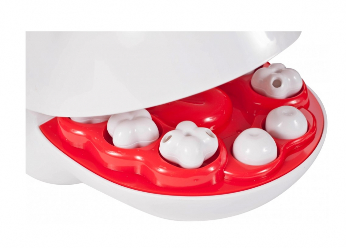 Set Cățel la Dentist [7]