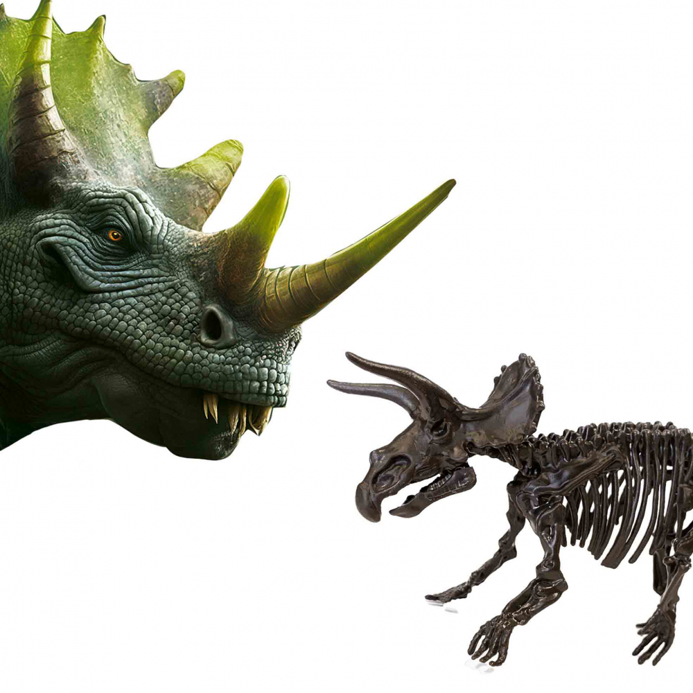 Set de joaca Dino si excavarea scheletului 2 in 1 - Triceratops [5]