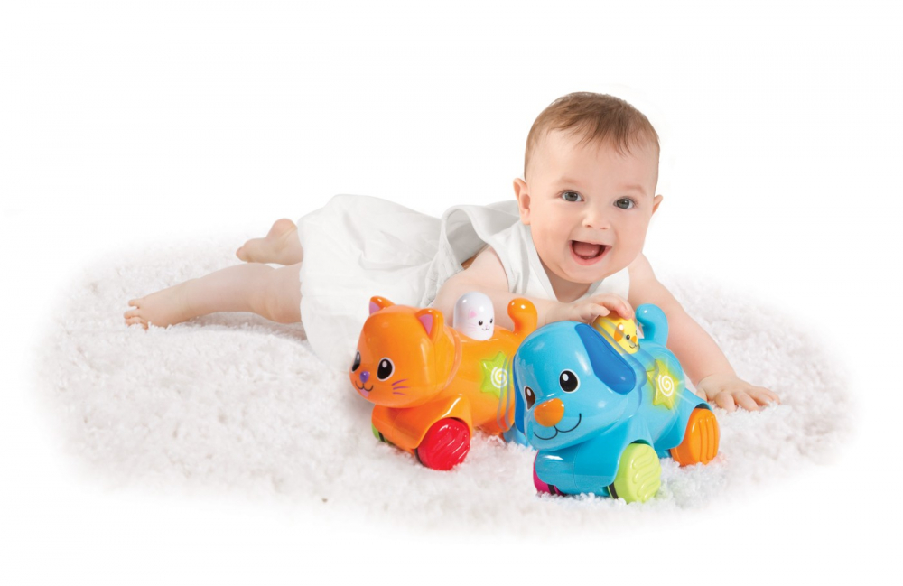 WINFUN CATELUS INTERACTIV [3]