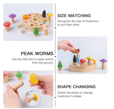 Jucarie din lemn [3]