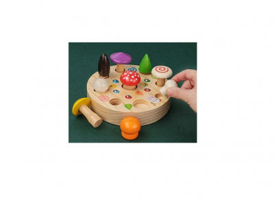 Jucarie din lemn [1]