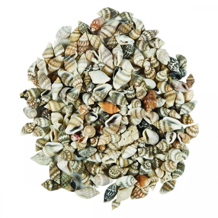 Produse art & craft-Lucru manual - Figurine melci pentru activitati crafts