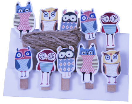 Produse art & craft-Lucru manual - Set 10 carlige din lemn cu bufnite