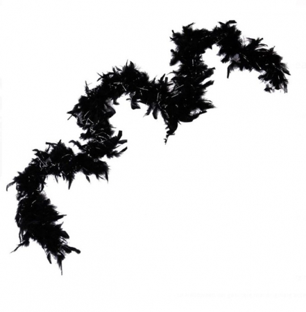 Articole Halloween - Accesoriu decorativ cu pene pentru Halloween