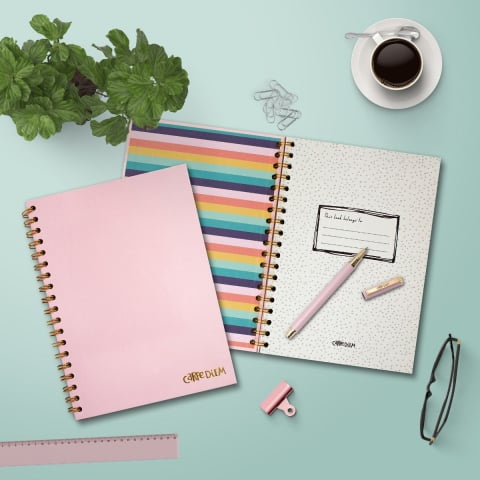 Agenda cu spirala și separatoare Pukka Pad Balerina Pink, B5, 160 pagini [1]