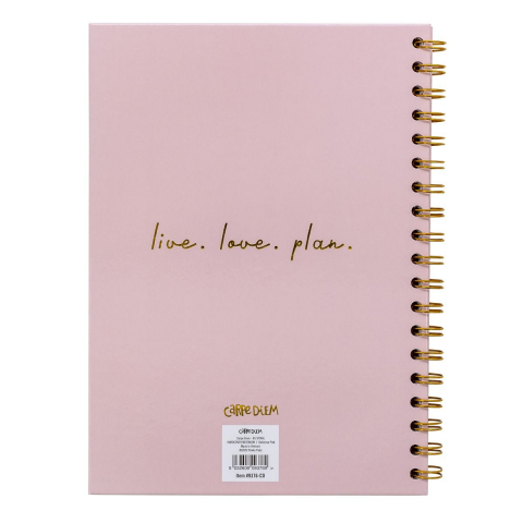 Agenda cu spirala și separatoare Pukka Pad Balerina Pink, B5, 160 pagini [5]