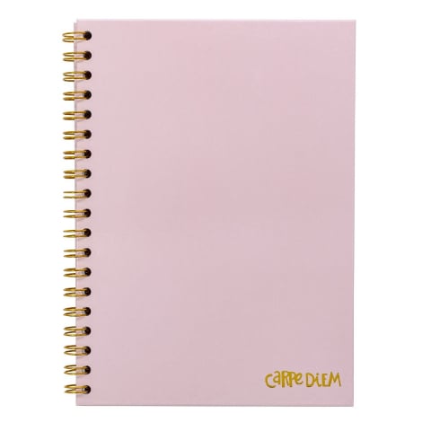 Papetarie & Birotica - Agenda cu spirala și separatoare Pukka Pad Balerina Pink, B5, 160 pagini