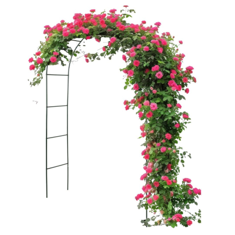 Arcada metalica pentru trandafiri, negru, 240x140x38 cm [1]
