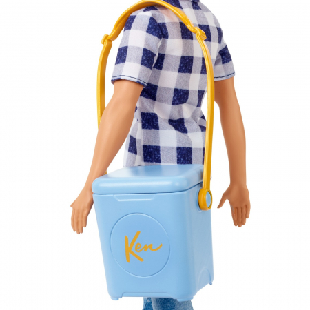 Barbie papusa ken la picnic [5]