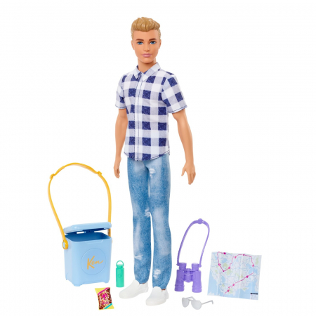 Barbie papusa ken la picnic [1]