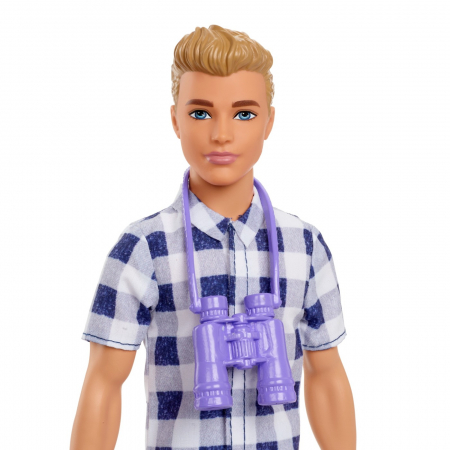Barbie papusa ken la picnic [3]