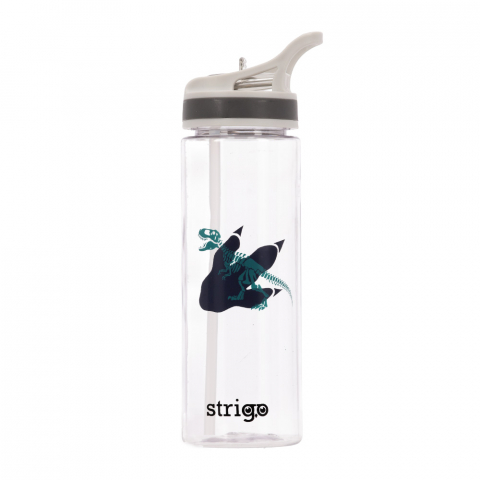 Bidon Strigo Dinosaur Collection, 600 ml [1]