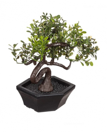 Decoratiuni - Bonsai decorativ artificial in ghiveci