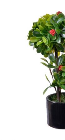 Bonsai decorativ cu flori rosii tip copac in ghiveci ceramic [3]
