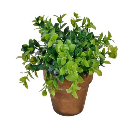 Flori si Plante artificiale - Bonsai decorativ cu frunze late in ghiveci ceramic