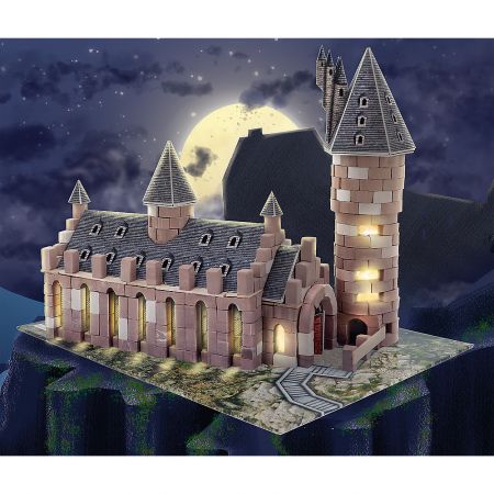 Brick trick harry potter sala mare [5]