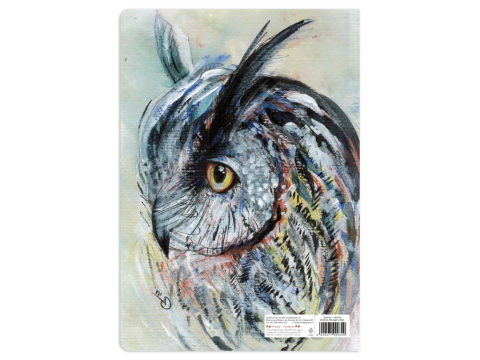 Caiet A4 dictando,ilustratie Bufnita, 48 file, 80 g/mp [1]