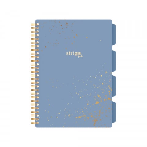Caiete - Caiet cu spirala si separatoare, STRIGO PADS Project Book Marmorat B5, Matematica, PADS031