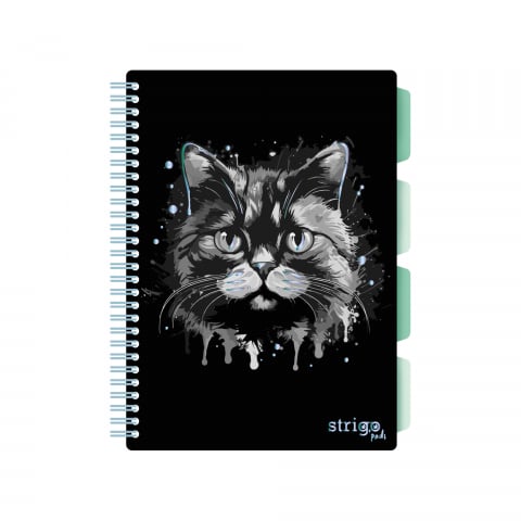 Caiete - Caiet cu Spirală și Separatoare Strigo Pads Project Book PISICA B5, Dictando