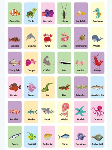 Carduri pentru invatarea vietatilor marine in limba engleza,36/bucati/set [1]