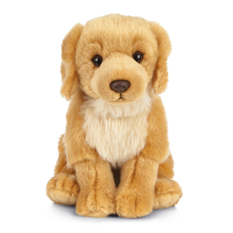 Jucarii - Cățeluș de pluș Golden Retriever 20 cm – Living Nature
