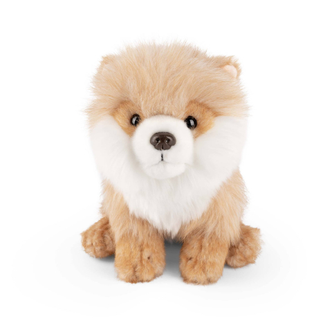 Jucarii - Cățeluș de pluș Pomeranian 20 cm (șezut) – Living Nature