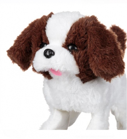 Catelus plus cu miscare si sunet [2]