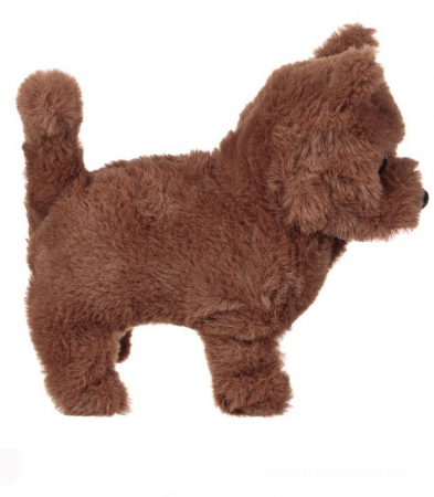 Catelus plus cu miscare si sunet [1]