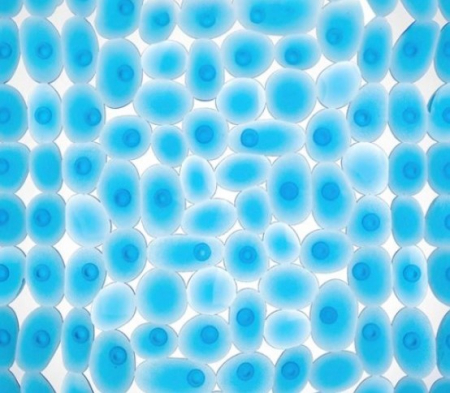 Covor de baie dreptunghiular antiderapant  [1]