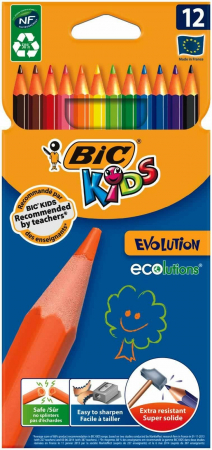 Produse art & craft-Lucru manual - Creioane colorate lungi