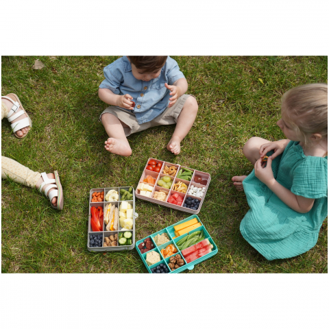 Cutie Snack cu 12 compartimente pentru gustari bebelusi,roz [9]