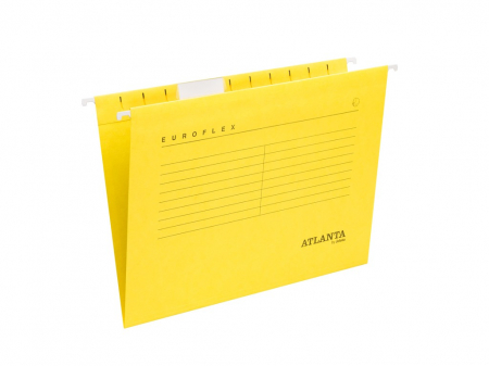 Dosar suspendat Euroflex [3]