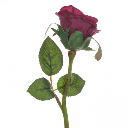 Fir boboc trandafir decorativ [1]