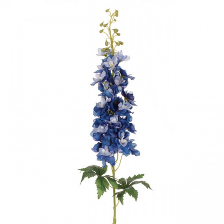 Fir floare albastra decorativ [1]