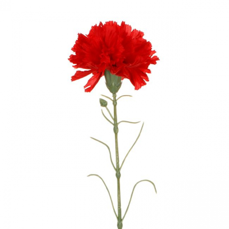 Fir floare garoafa decorativ [1]