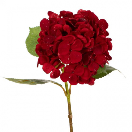 Fir floare hortensie decorativ [1]