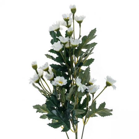 Fir floare margarete decorativ [1]