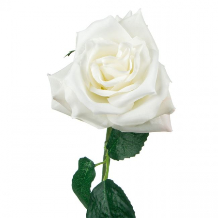 Fir floare trandafir artificial decorativ [1]