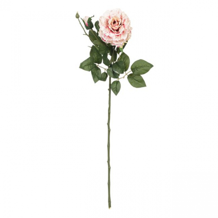 Decoratiuni - Fir floare trandafir decorativ