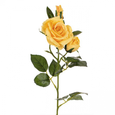 Fir floare trandafir decorativ [1]