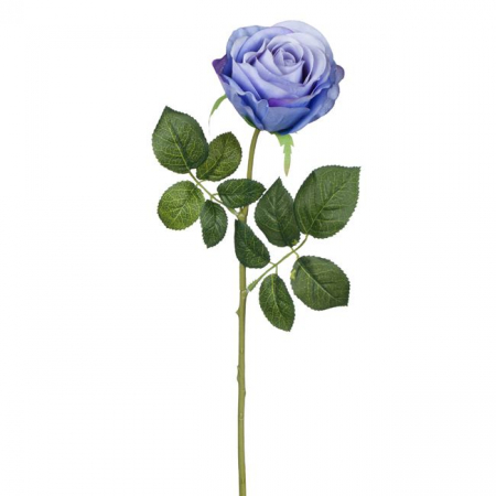 Fir floare trandafir decorativ [1]