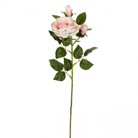 Decoratiuni - Fir floare trandafir decorativ