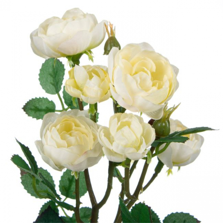 Fir floare trandafir decorativa [1]