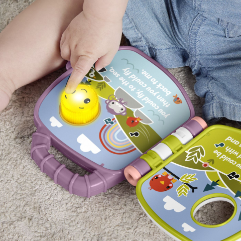 FISHER PRICE CARTE MUZICALA MAIMUTICA MOV [9]