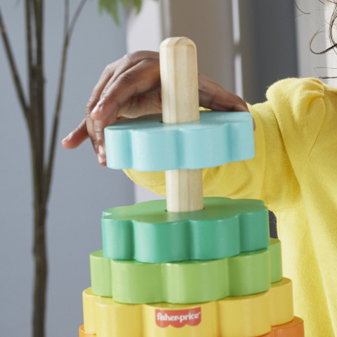 FISHER PRICE JOC DE STOCARE MULTICOLOR DIN LEMN [3]